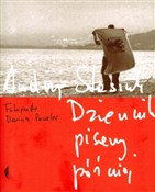 Dziennik p... - Andrzej Stasiuk -  books from Poland