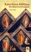 polish book : Katecheza ... - Pierluigi Plata