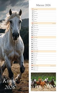Obrazek Kalendarz 2026 paskowy Konie