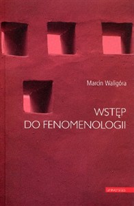 Obrazek Wstęp do fenomenologii