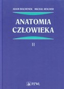 Polska książka : Anatomia c... - Adam Bochenek, Michał Reicher