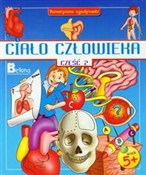 Ciało czło... - Geeta Gupta -  books in polish 