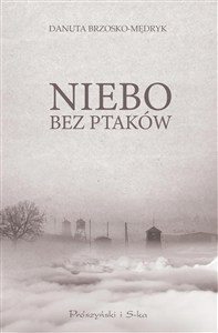Obrazek Niebo bez ptaków