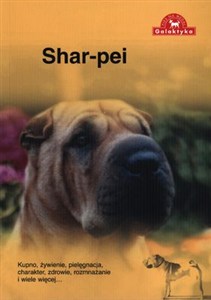 Obrazek Shar Pei