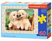 Książka : Puzzle Gol...