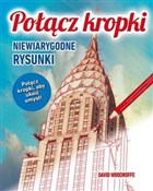 Połącz kro... - Dawid Woodroffe -  Polish Bookstore 