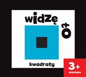 Polska książka : Widzę to K... - Joanna Babula (ilustr.)