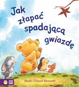 Obrazek Jak złapać spadającą gwiazdę Poczytajmy razem