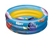 Książka : Basen Gdzi...