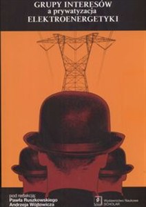 Picture of Grupy interesów a prywatyzacja elektroenergetyki