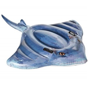 Picture of Płaszczka do pływania