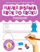 Nauka pisa... - Opracowanie Zbiorowe -  books in polish 