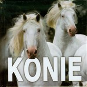 Picture of Konie