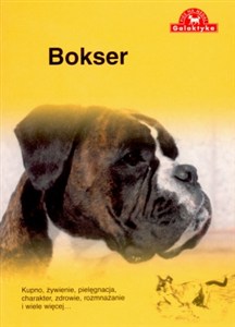 Picture of Bokser