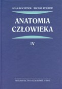 Anatomia c... - Adam Bochenek, Michał Reicher -  Książka z wysyłką do UK