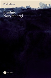 Obrazek Studnie Norymbergi