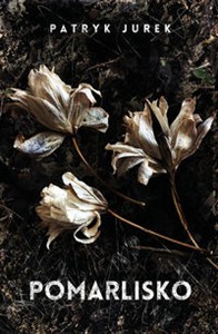 Picture of Pomarlisko Wielkie Litery