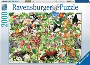 Picture of Puzzle 2D 2000 Dżungla 16824