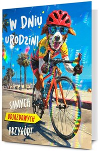 Obrazek Karnet B6 Urodziny