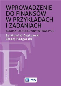 Obrazek Wprowadzenie do finansów w przykładach i zadaniach Arkusz kalkulacyjny w praktyce