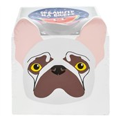 Zobacz : Organizer ...