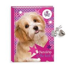 Obrazek Pamiętnik z kłódką