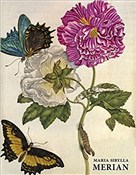 Zobacz : Maria siby... - Daniel Kiecol