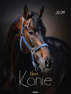 Picture of Kalendarz 2026 ścienny Mały Konie KSM-5