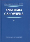 Polska książka : Anatomia c... - Adam Bochenek, Michał Reicher