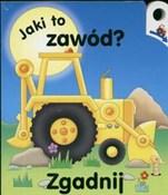 Polska książka : Jaki to za... - Jan Kazimierz Siwek