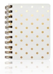 Picture of Kołonotes A6/100K