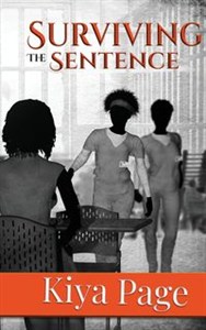 Picture of Surviving The Sentence