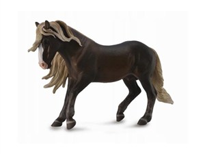 Obrazek Koń Szwarcwaldzki Ogier XL