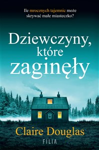 Obrazek Dziewczyny, które zaginęły