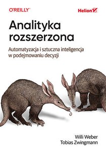 Obrazek Analityka rozszerzona. Automatyzacja i sztuczna inteligencja w podejmowaniu decyzji