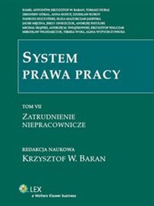 Picture of System prawa pracy Tom 7 Zatrudnienie niepracownicze