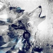 Wilk chodn... - Bisz -  foreign books in polish 