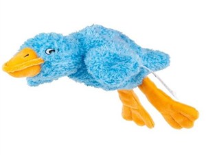 Obrazek Sensoryczna Gęś niebieska