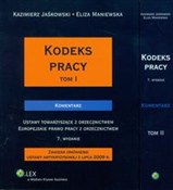 Kodeks pra... - Kazimierz Jaśkowski, Eliza Maniewska -  Polish Bookstore 
