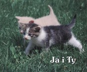 Ja i ty pe... - Opracowanie Zbiorowe -  books from Poland