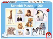 Puzzle 200... -  books from Poland