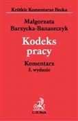 Kodeks Pra... - Małgorzata Barzycka-Banaszczyk -  books in polish 