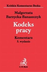 Obrazek Kodeks Pracy  Komentarz