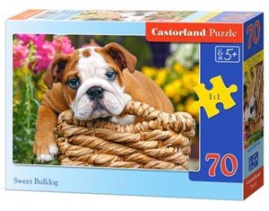Obrazek Puzzle Sweet Bulldog 70