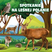 Książka : Spotkanie ... - Opracowanie Zbiorowe