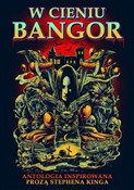 Polska książka : W cieniu B...