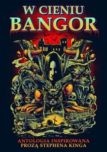 Obrazek W cieniu Bangor