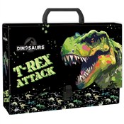 Książka : Teczka z r...