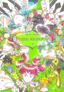 Obrazek Kraina klejnotów. Tom 4