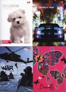 Picture of Zeszyt A4 w linie 32 kartki 10 sztuk mix